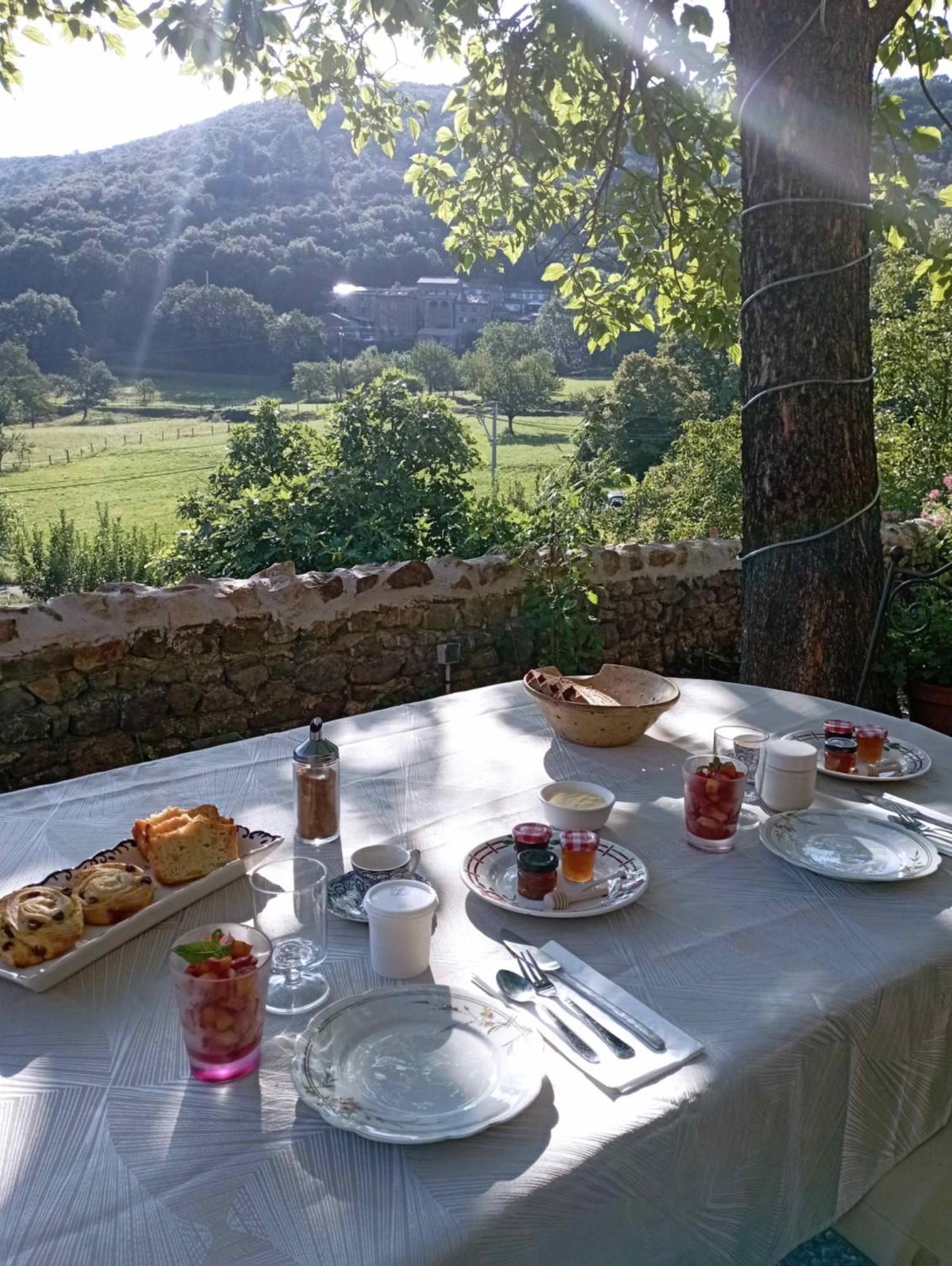 Chambre D'Hote Dans Mas Proche Anduze Cevennes Avec Piscine Mialet  외부 사진