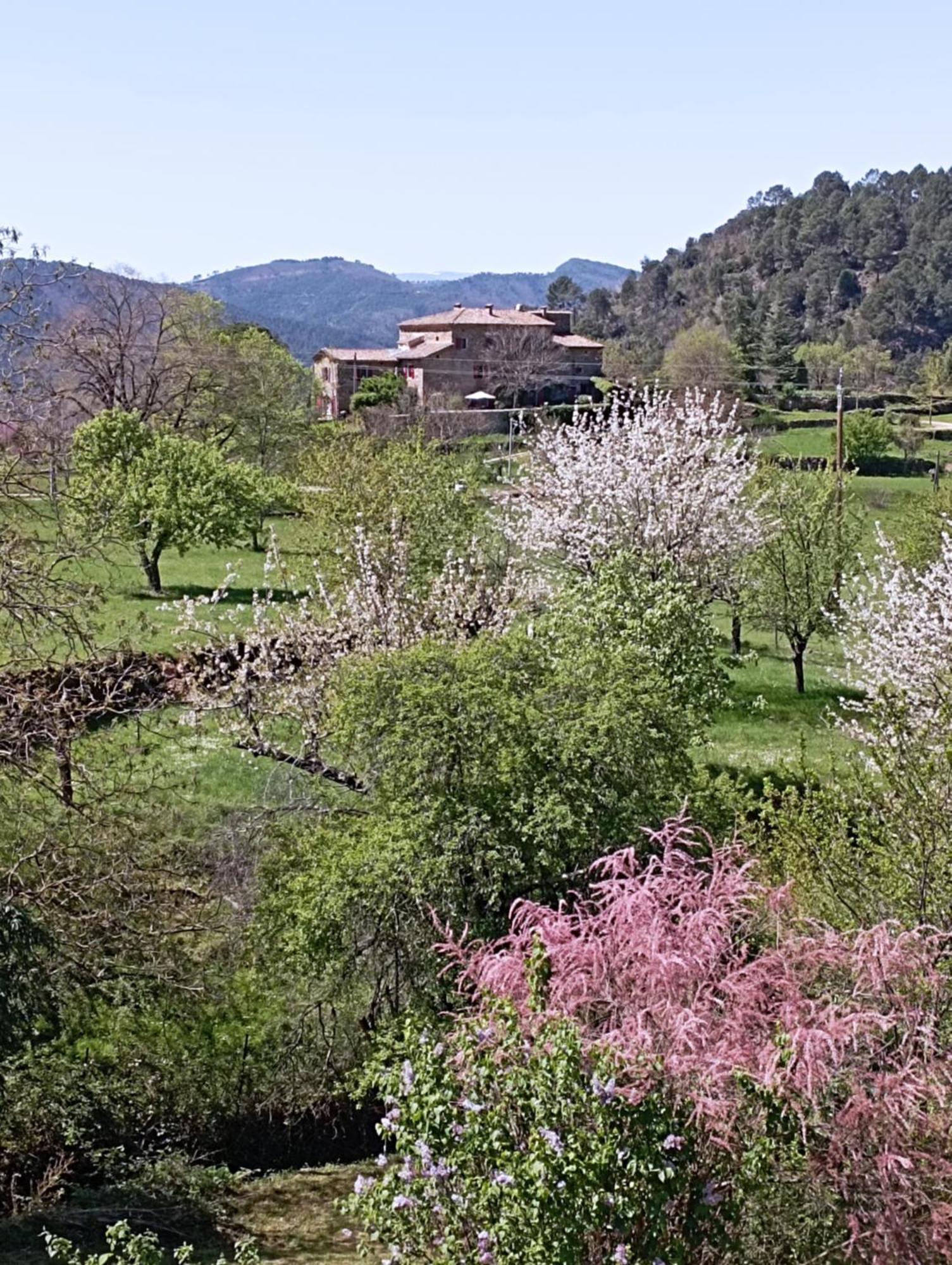 Chambre D'Hote Dans Mas Proche Anduze Cevennes Avec Piscine Mialet  외부 사진
