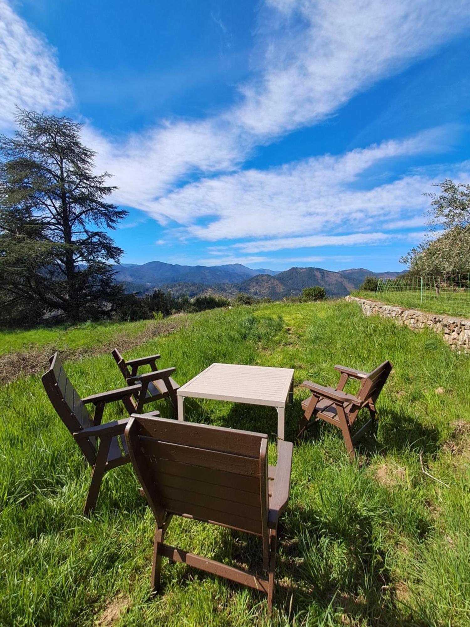 Chambre D'Hote Dans Mas Proche Anduze Cevennes Avec Piscine Mialet  외부 사진