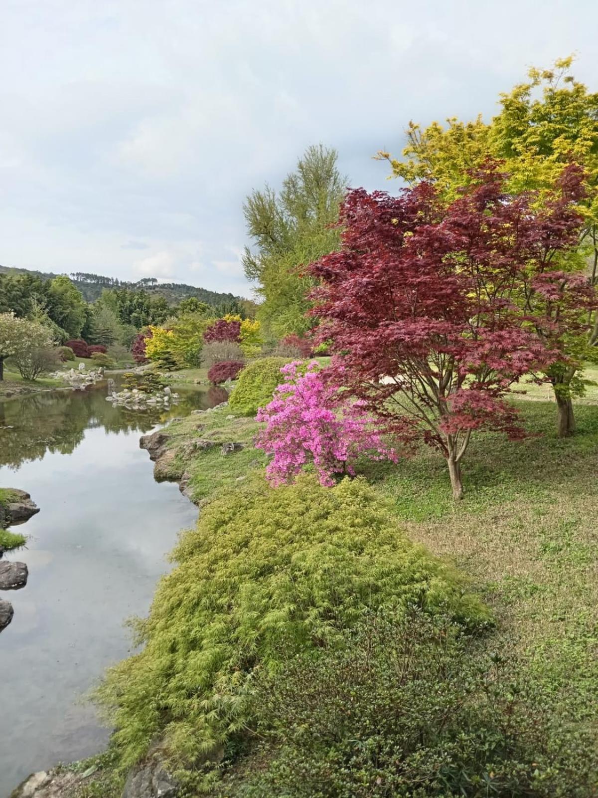 Chambre D'Hote Dans Mas Proche Anduze Cevennes Avec Piscine Mialet  외부 사진
