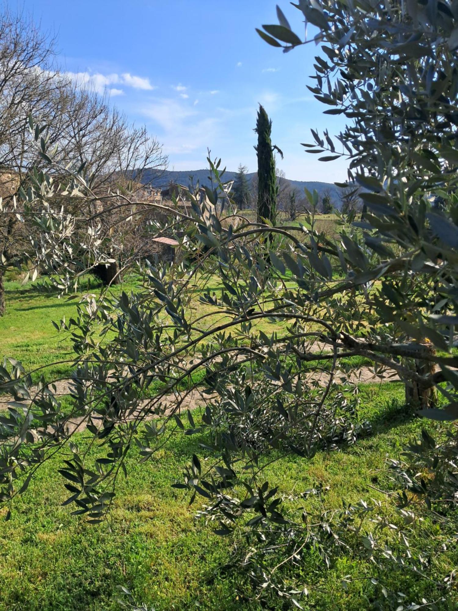 Chambre D'Hote Dans Mas Proche Anduze Cevennes Avec Piscine Mialet  객실 사진